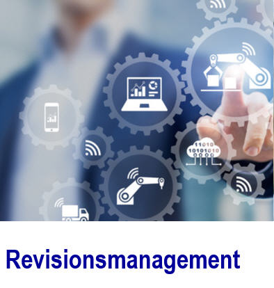 Software fr die Revision -  hchste Flexibilitt Revision, Revisionsprozess, Revisionssoftware